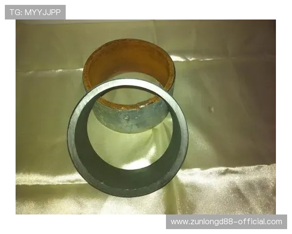 尊龙凯时国际站：新手玩家必看入门指南与操作技巧详解