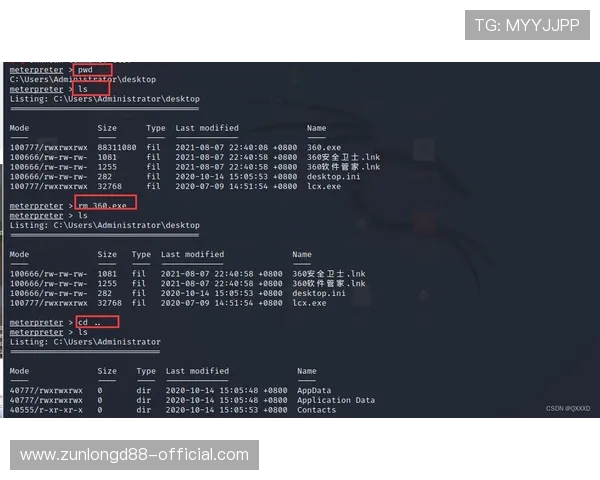 尊龙手机网页版为新手玩家提供详细的操作指南和使用教程